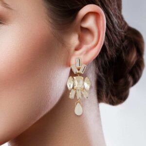 Monotone clear crystal white drop earrings