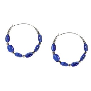 Accessher Silver plated Blue Hoops for women and girls  -ER0921GC1P80SB