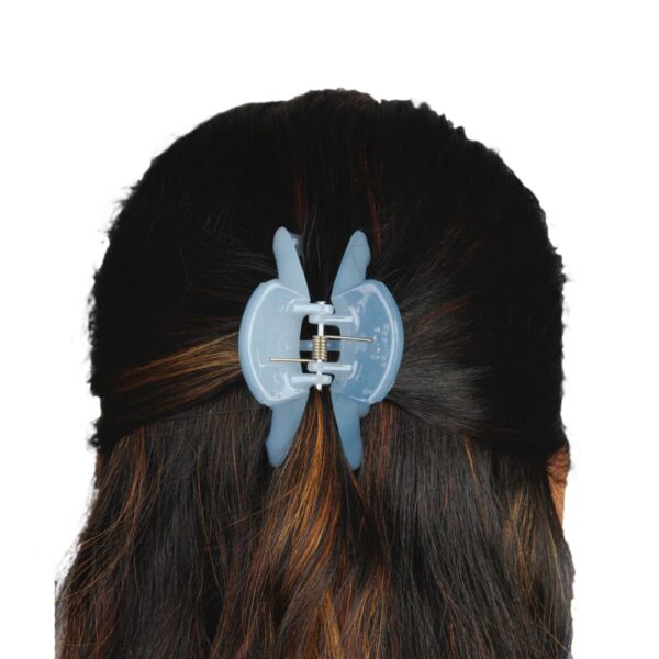 AccessHer Simple Black Color Acrylic Butterfly Clip (Combo