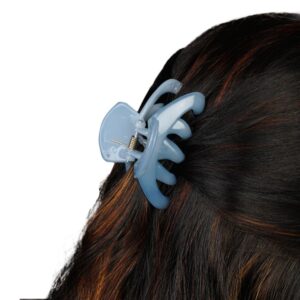 Multicolor Acrylic Claw Clips Hair Clutchers Pack of 6 for Women