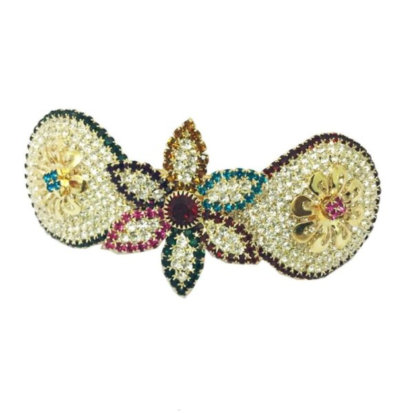 Accessher Exclusive Multicolor Back Hair Center Clip with