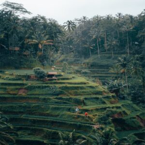 Bali – A Luxury Escape