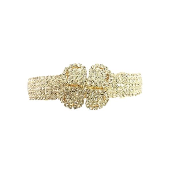 Designer Gold Tone Studded Back Clip Hair Accessories-