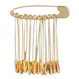 Set of 12 Gold Toned Metallic Saree Pins for Women