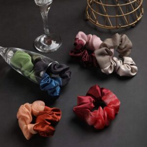 Set of 6 Multicolour Elastic Silk Fabric Scrunchies for Women