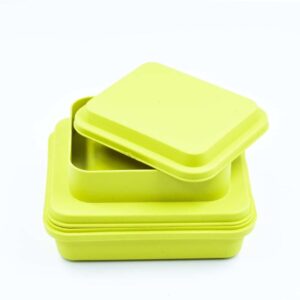 Swarg Kitchen Plastic Lunch Box Blue