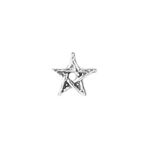 AccessHer 92.5-925 sterling Silver tiny star shape nose pin for womens and Girls