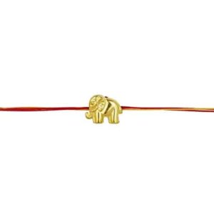 AccessHer Gold Color Acrylic Rakhi Pack of 10