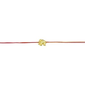 AccessHer Gold Color Acrylic Rakhi Pack of 10