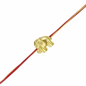 AccessHer Gold Color Acrylic Rakhi Pack of 3