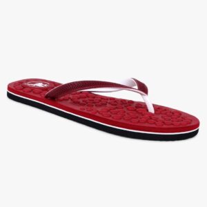 Trenz Lumia Maroon White Women Slippers